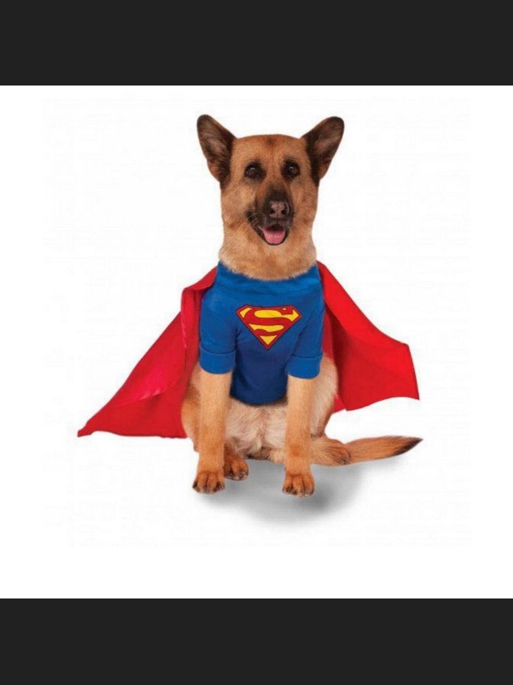 DC Superman Classic Halloween Pet Costume Cape Dog Shirt Small